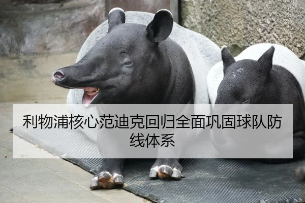 利物浦核心范迪克回归全面巩固球队防线体系